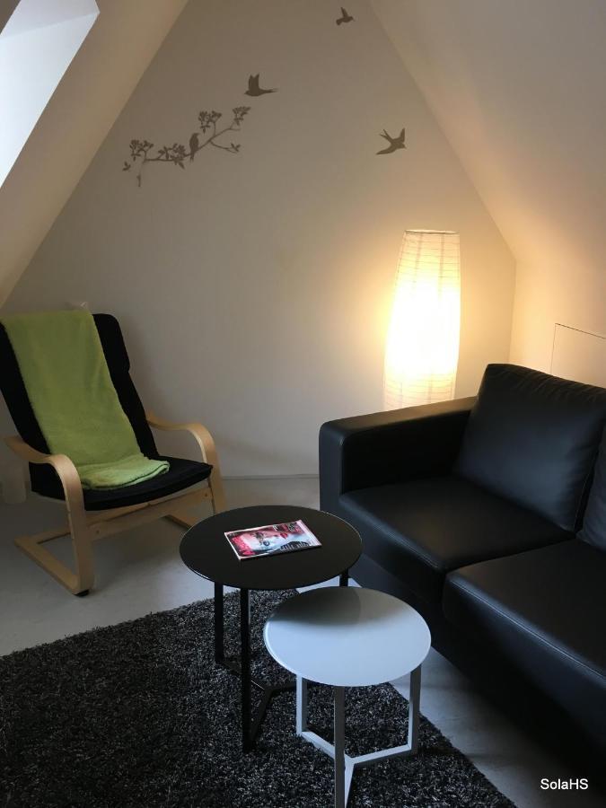 Le Nid De La Cathedrale Appartement Straatsburg Buitenkant foto