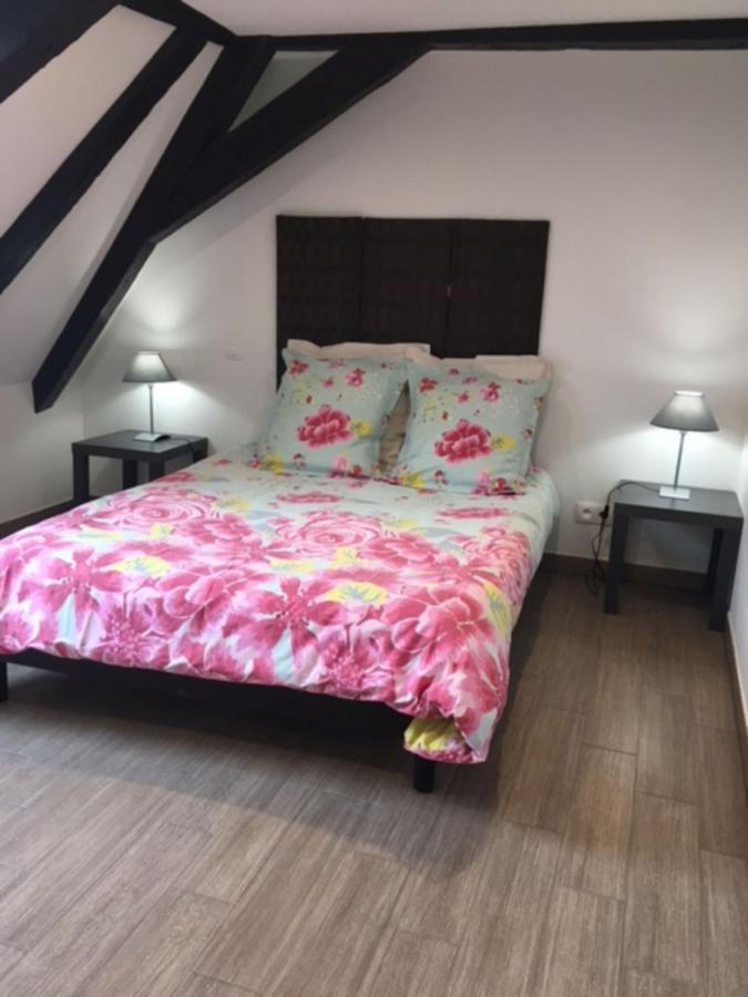 Le Nid De La Cathedrale Appartement Straatsburg Buitenkant foto