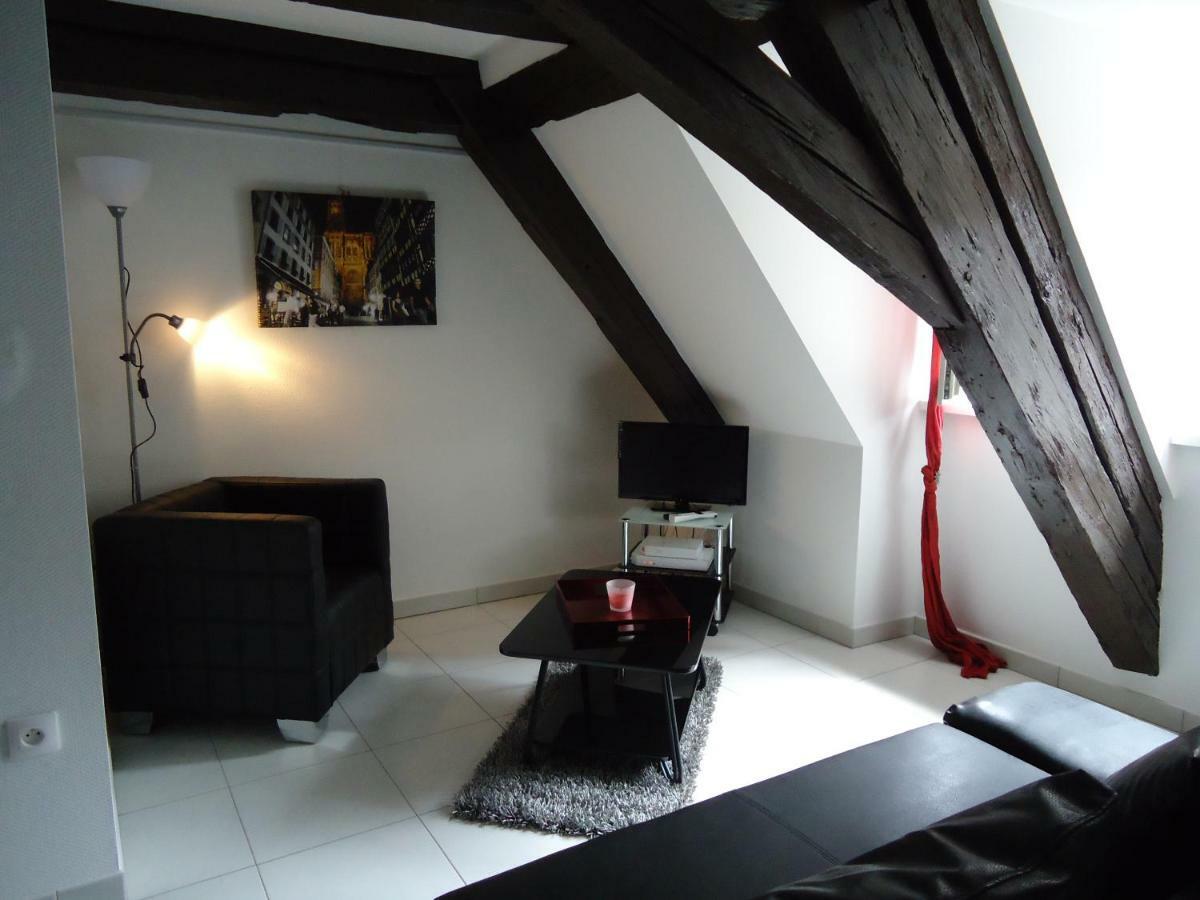 Le Nid De La Cathedrale Appartement Straatsburg Buitenkant foto